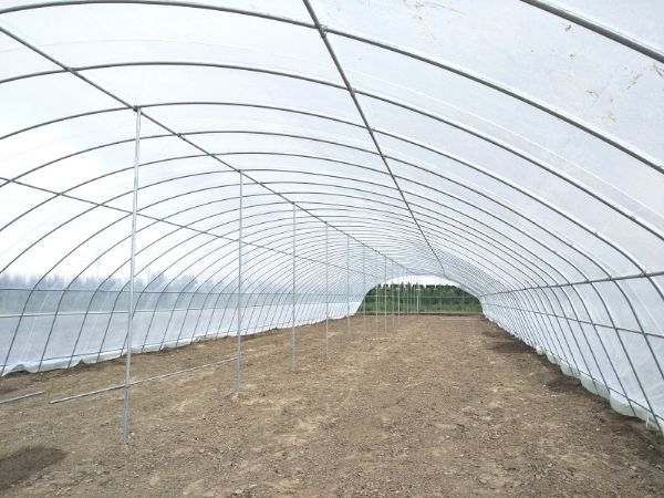 單體拱棚溫室